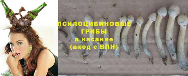 MDMA Premium VHQ Аркадак
