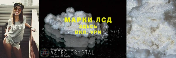 хмурый Арсеньев