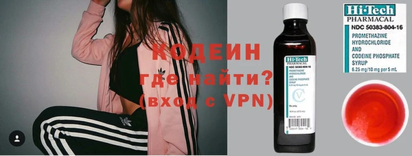 хмурый Арсеньев