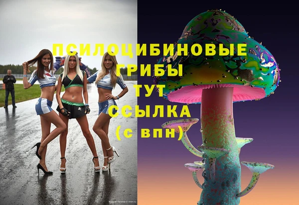 хмурый Арсеньев