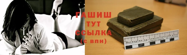 хмурый Арсеньев