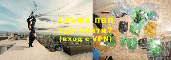 хмурый Арсеньев