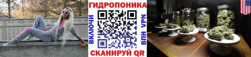 Бошки Шишки OG Kush  где найти   Калач 
